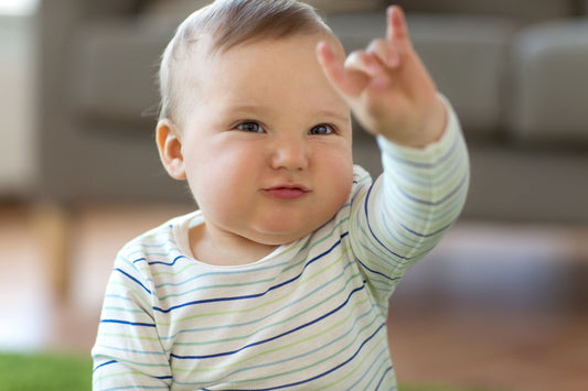 Hvad er babytegn?