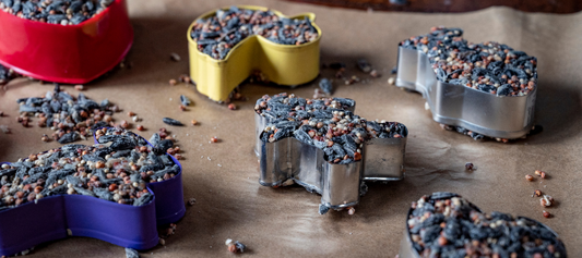 Januar 2025 - Snacks til fuglene