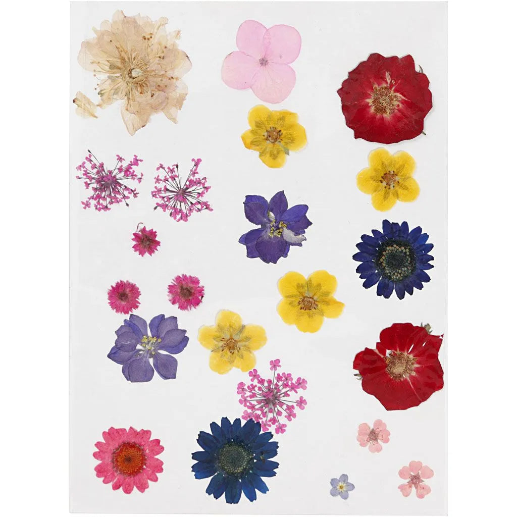 Tørrede blomster