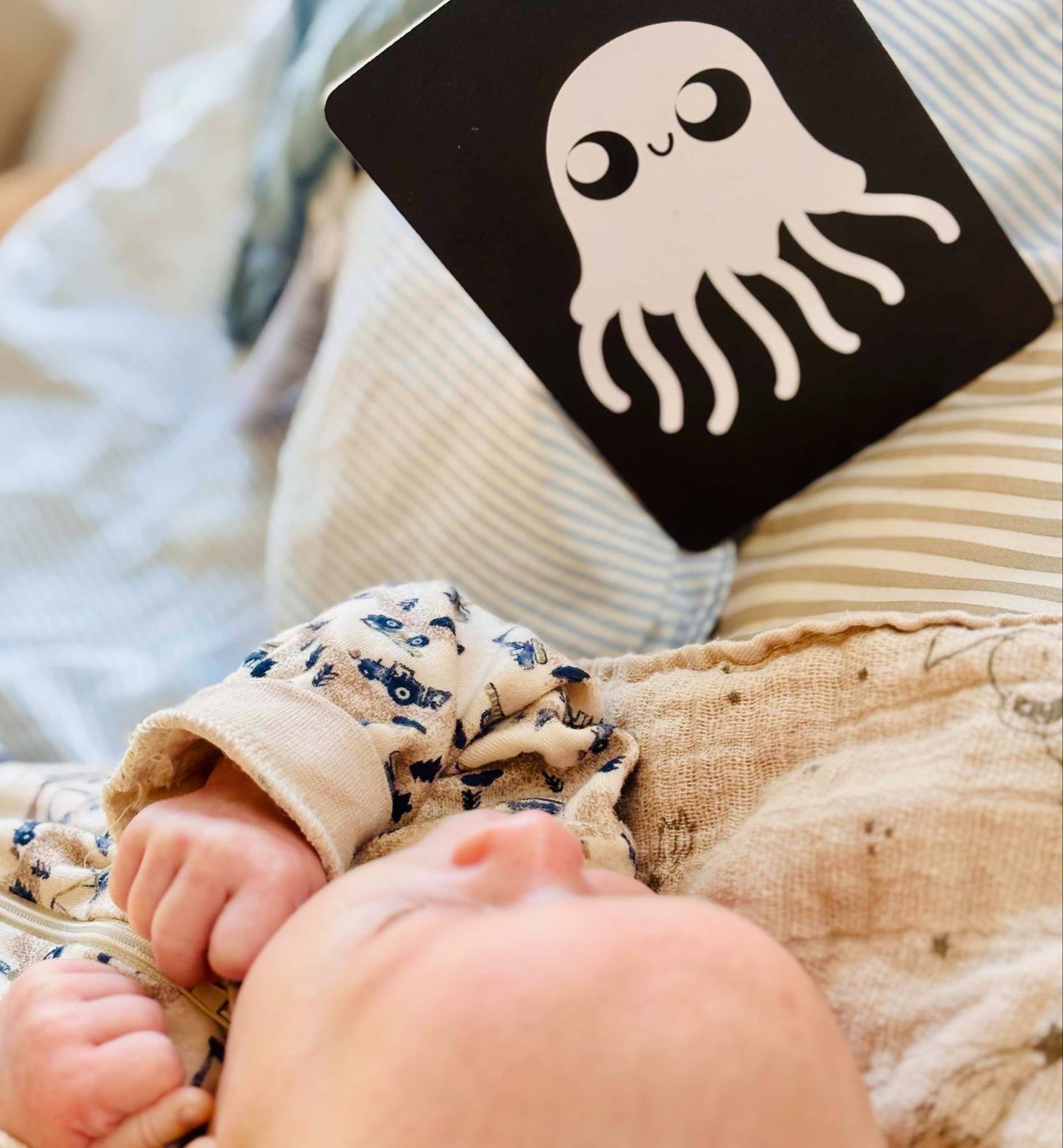 Baby Kontrast Kort