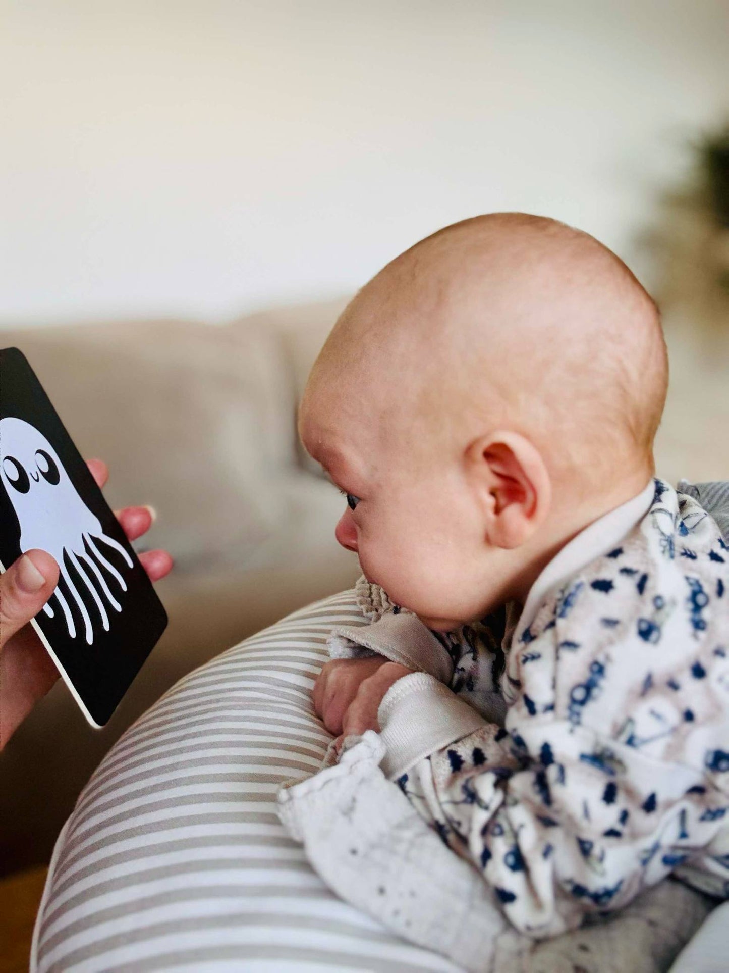 Baby Kontrast Kort